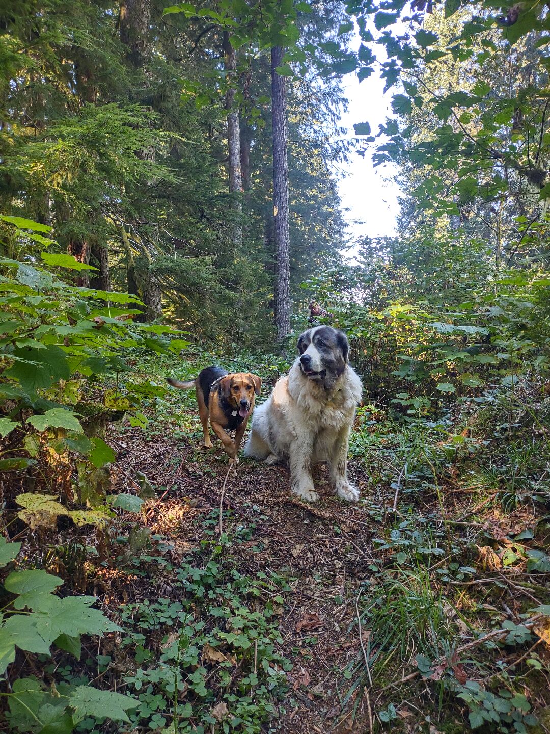 IMG_20221010_110627519_HDR.jpg