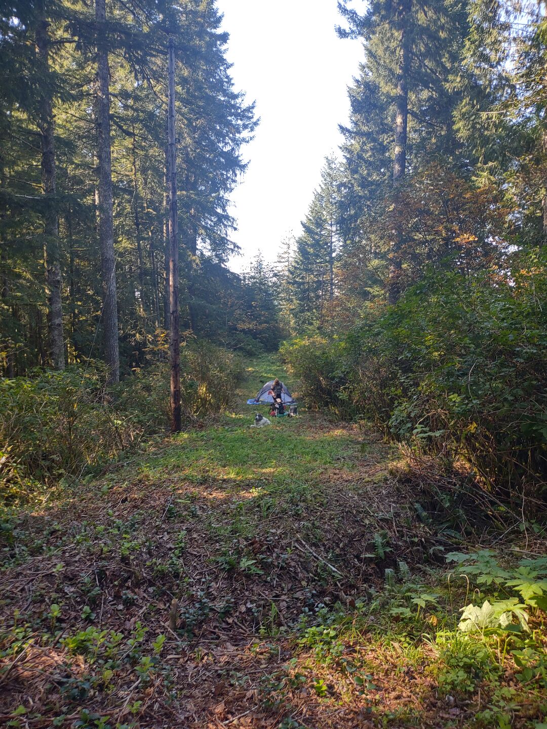 IMG_20221009_141354954_HDR.jpg